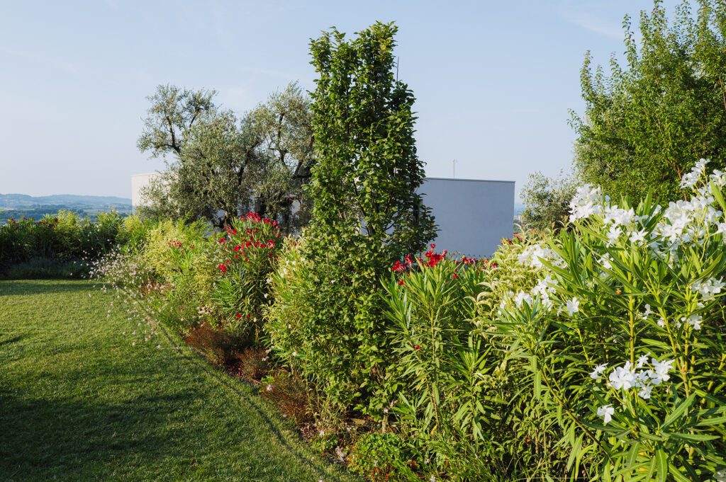 giardino_villa_piscina_cavaion_ giambenini_vivaifrancescogiambenini_paesaggisticastudiofg_4