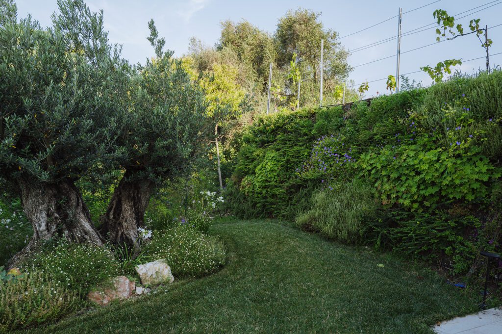 giardino_villa_piscina_cavaion_ giambenini_vivaifrancescogiambenini_paesaggisticastudiofg_8