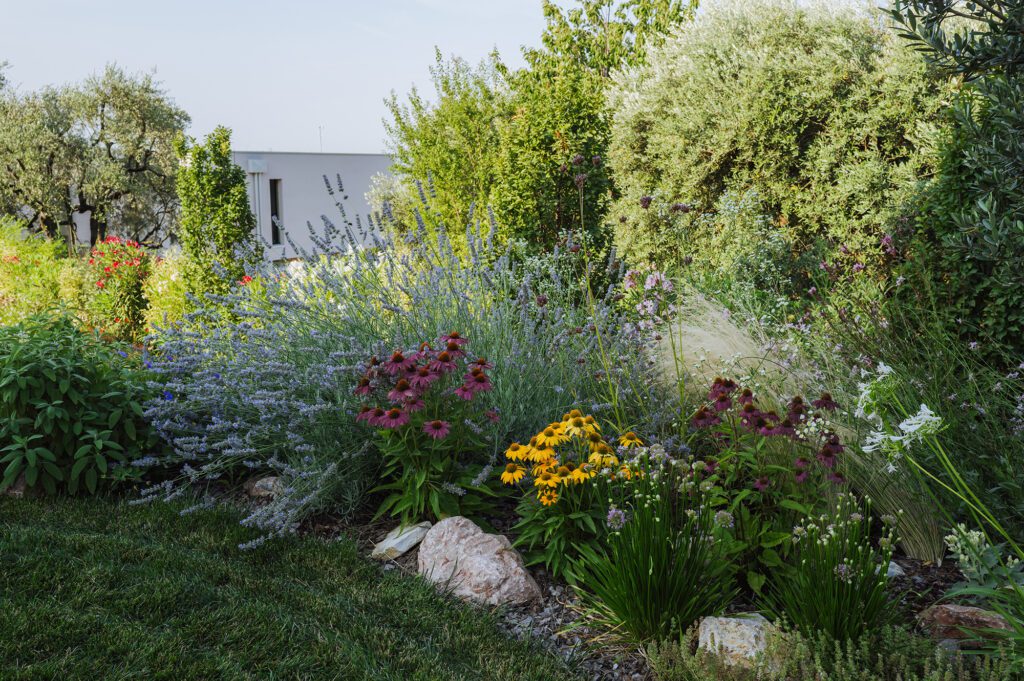 giardino_villa_piscina_cavaion_ giambenini_vivaifrancescogiambenini_paesaggisticastudiofg_9